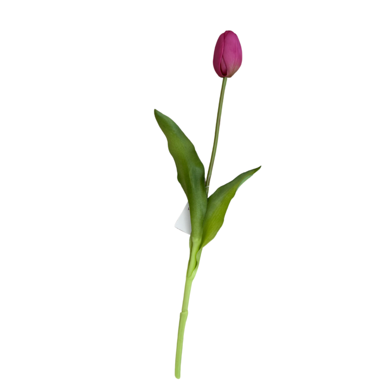 Tulipano Rosa Scuro Realistico in Lattice