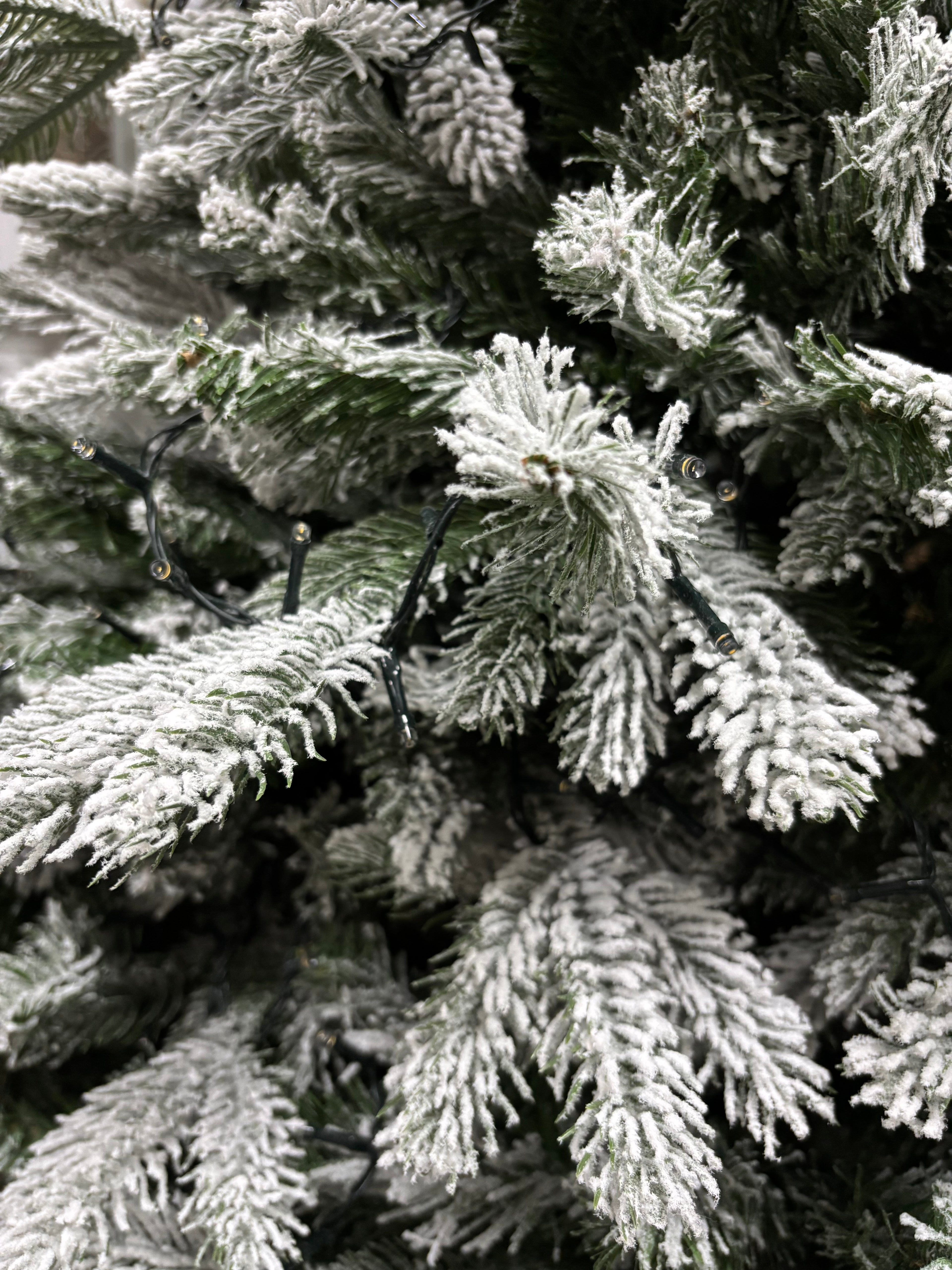 Pandora Floccato 240 cm con 4470 Punte