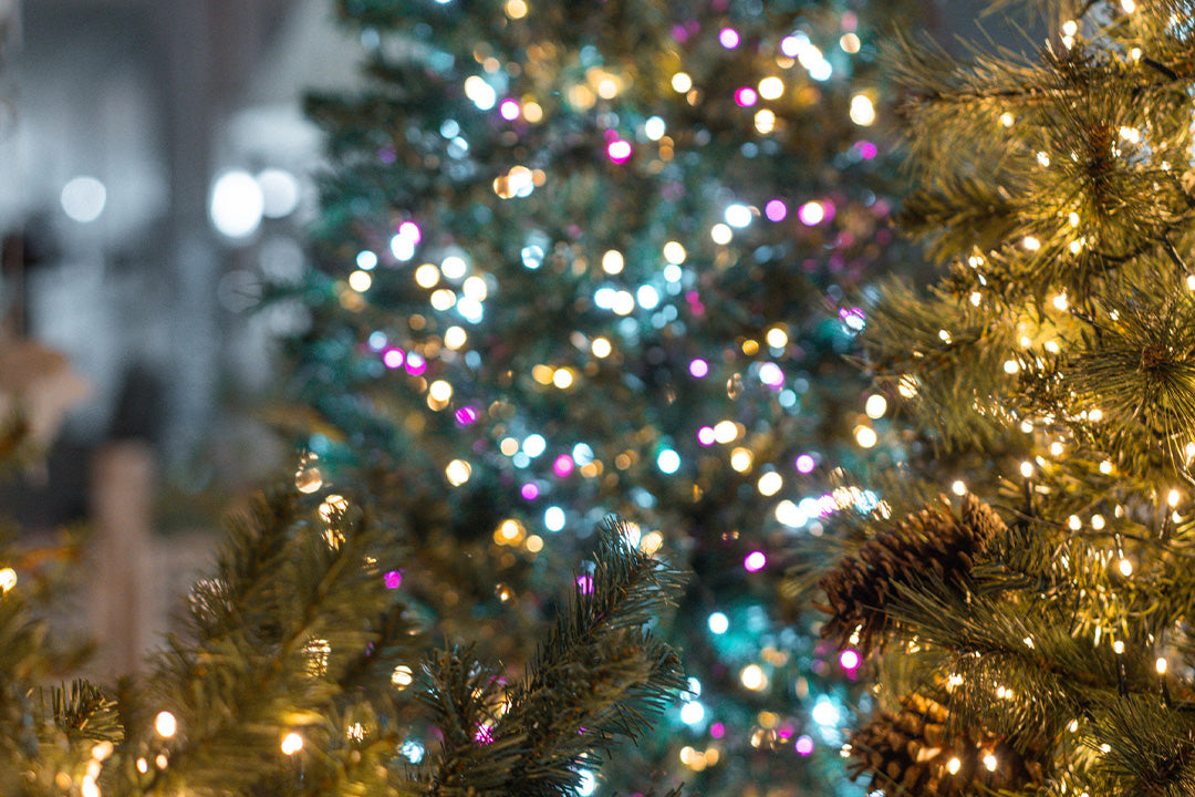 Come fare l’albero di Natale perfetto: una guida passo passo per Decorarlo con Stile