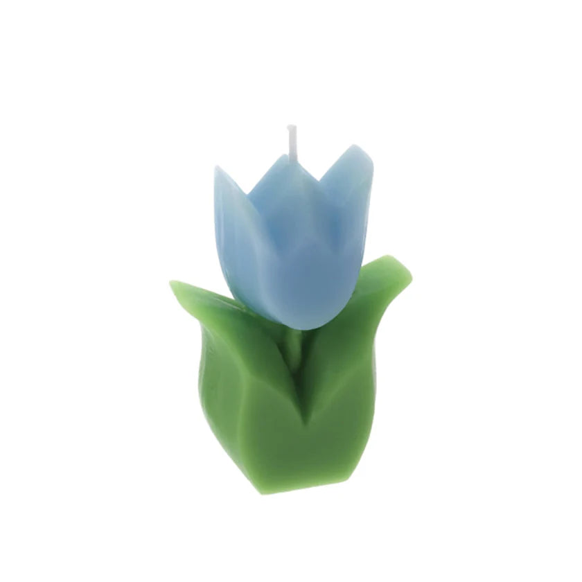 Candela a Forma di Tulipano in Cera con Scatola Trasparente – Hervit