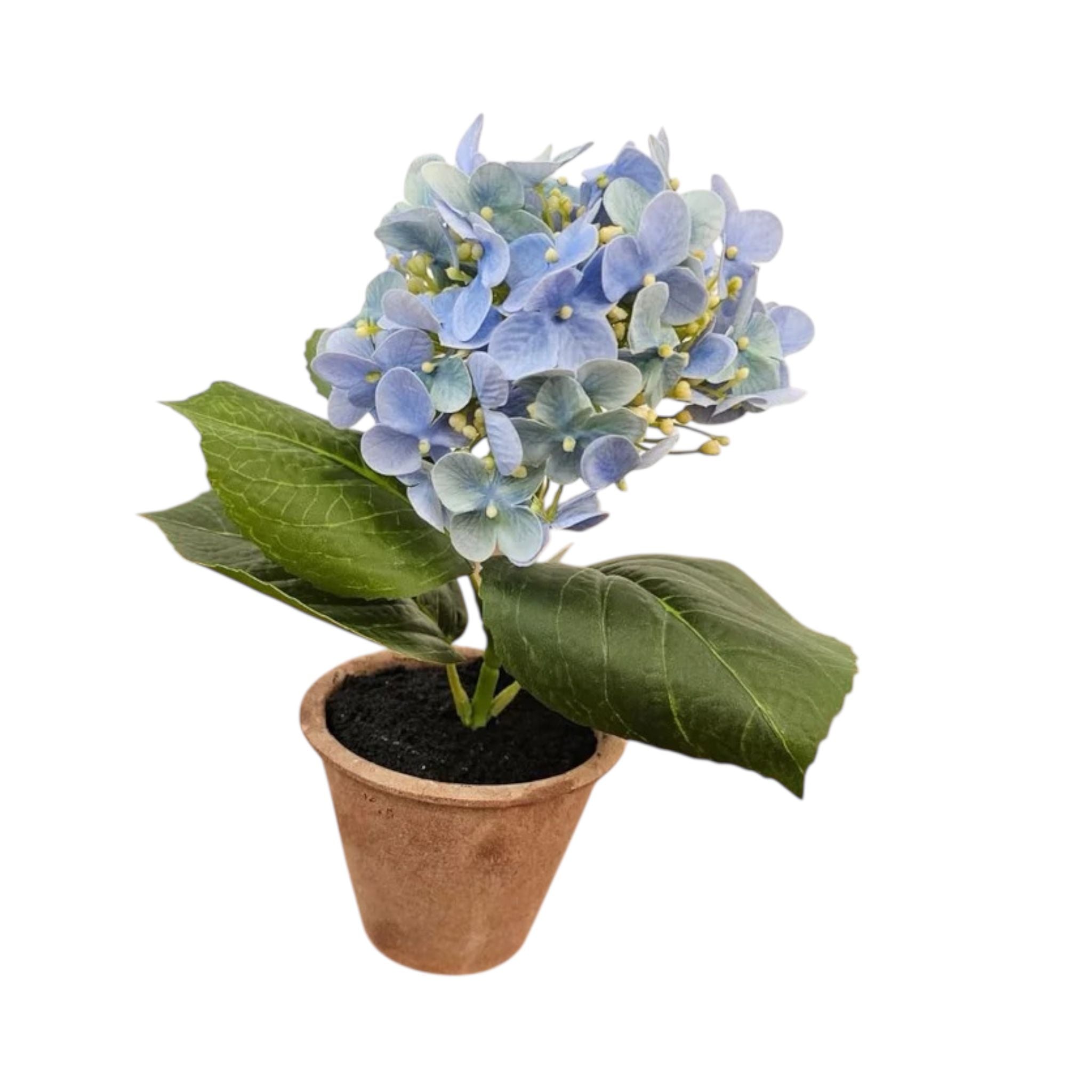 Piantina Ortensia Artigianale in Colori Eleganti 14 h cm - Fiori di Lena