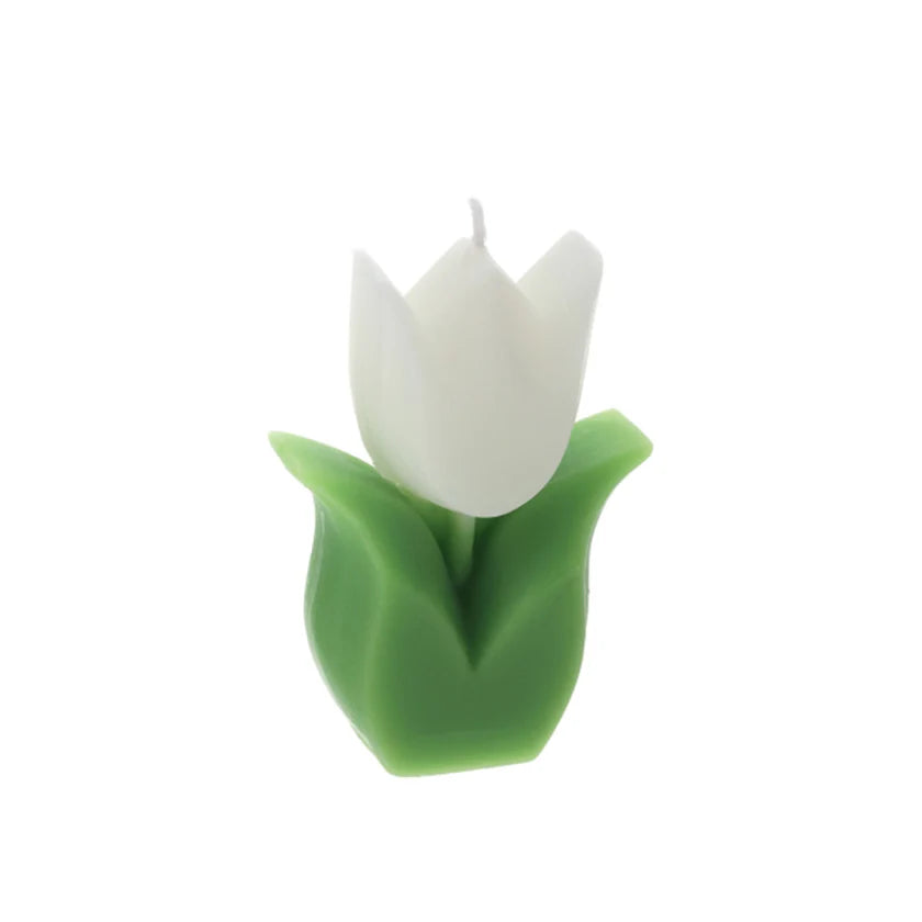 Candela a Forma di Tulipano in Cera con Scatola Trasparente – Hervit
