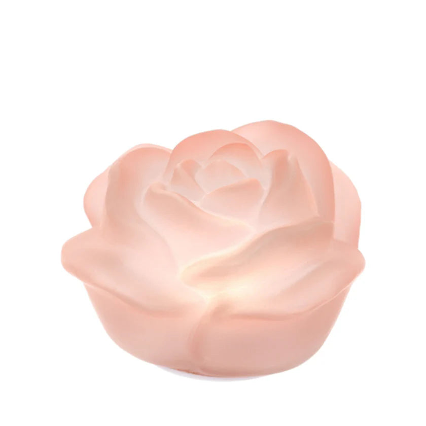Rosa con Luce LED in Vetro Satinato - Linea Hervit