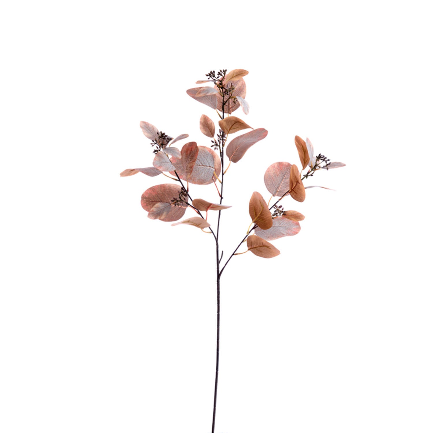 Fiore Artificiale Eucalypto in Dark Brown 84 cm - Light e Living