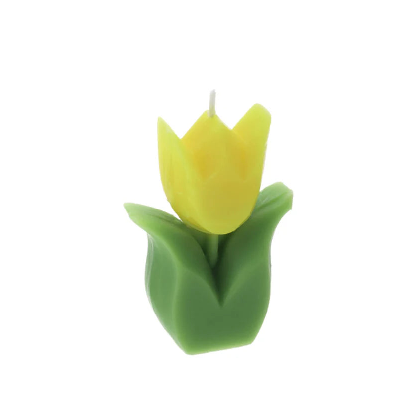 Candela a Forma di Tulipano in Cera con Scatola Trasparente – Hervit