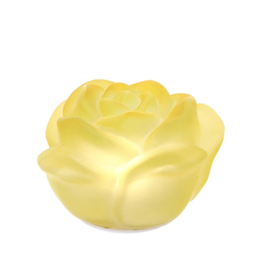 Rosa con Luce LED in Vetro Satinato - Linea Hervit