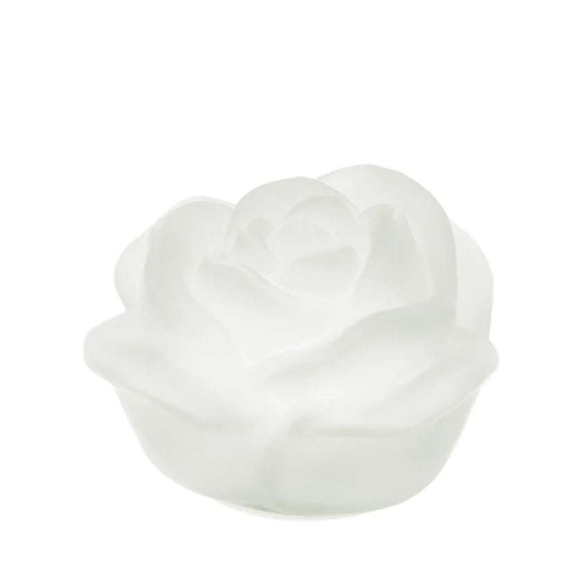 Rosa con Luce LED in Vetro Satinato - Linea Hervit