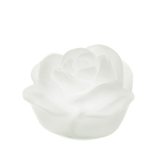 Rosa con Luce LED in Vetro Satinato - Linea Hervit