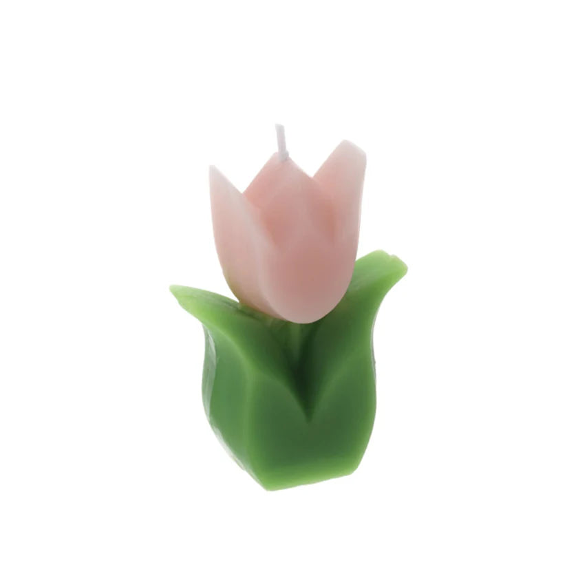 Candela a Forma di Tulipano in Cera con Scatola Trasparente – Hervit