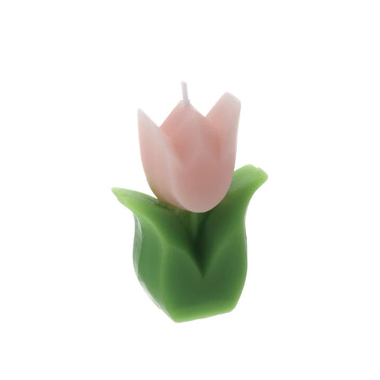 Candela a Forma di Tulipano in Cera con Scatola Trasparente – Hervit