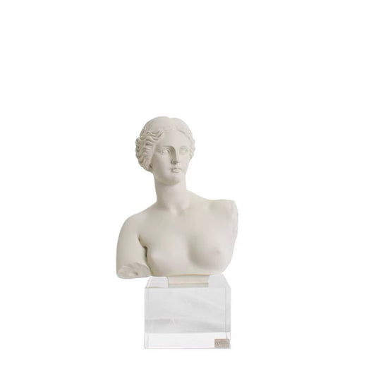Statua a Forma di Busto di Venere in Resina su Base in Vetro