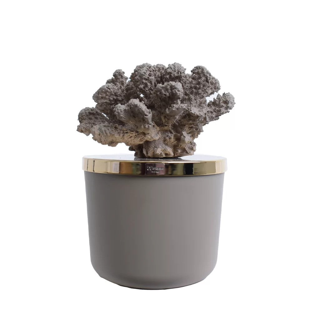 Candela Profumata con Tappo Decorato e Scultura di Corallo
