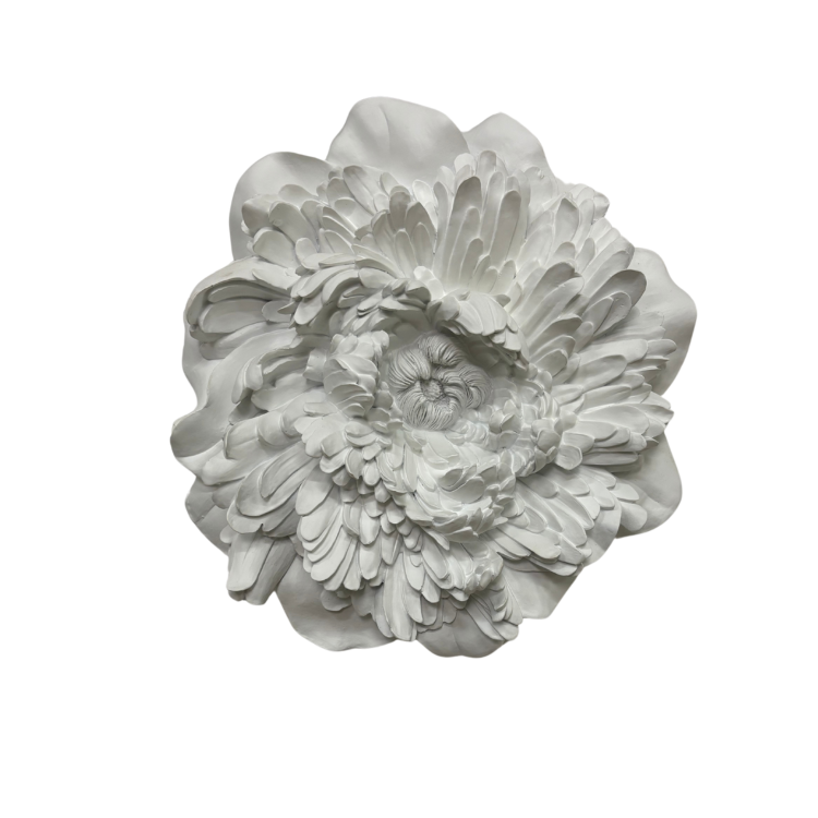 Decorazione da Parete in Legno