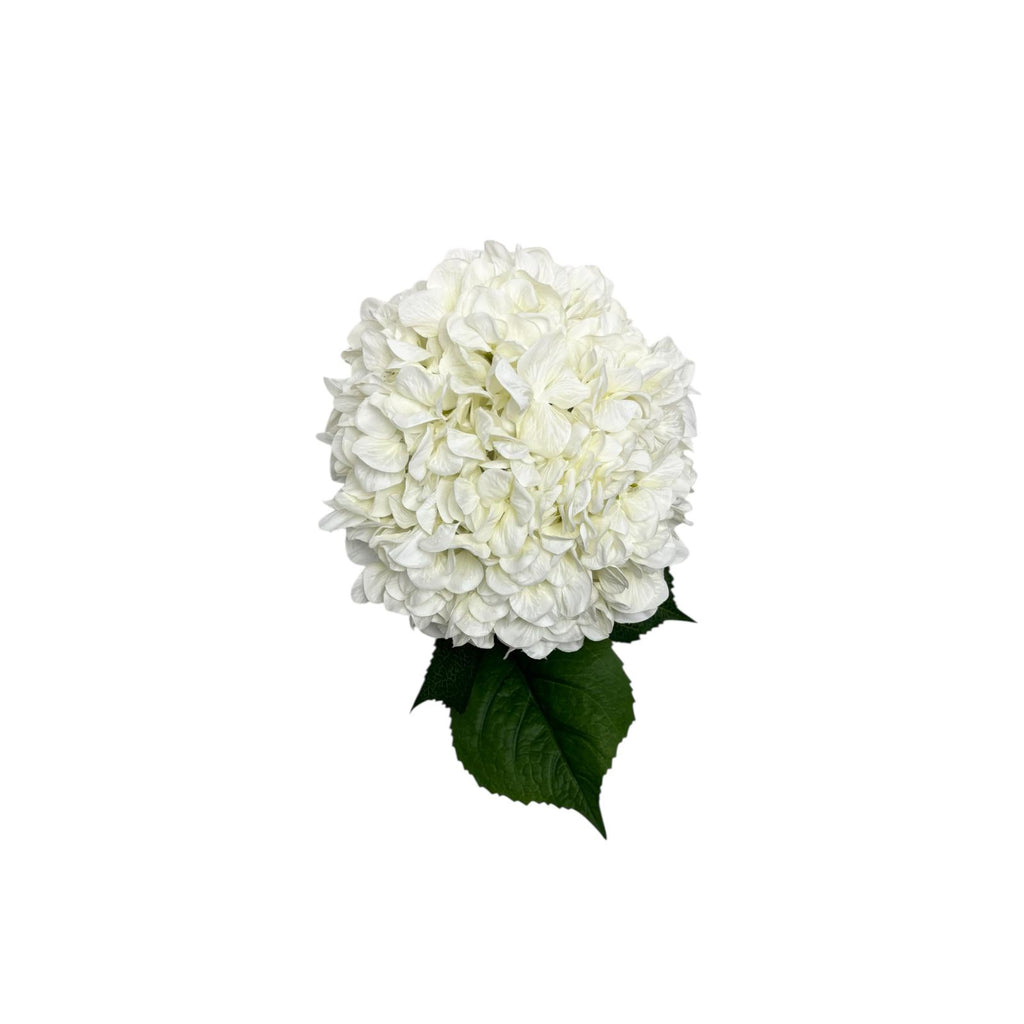 Bouquet di Ortensie Bianche in Tessuto con Gambo Lungo 100 cm – Belda