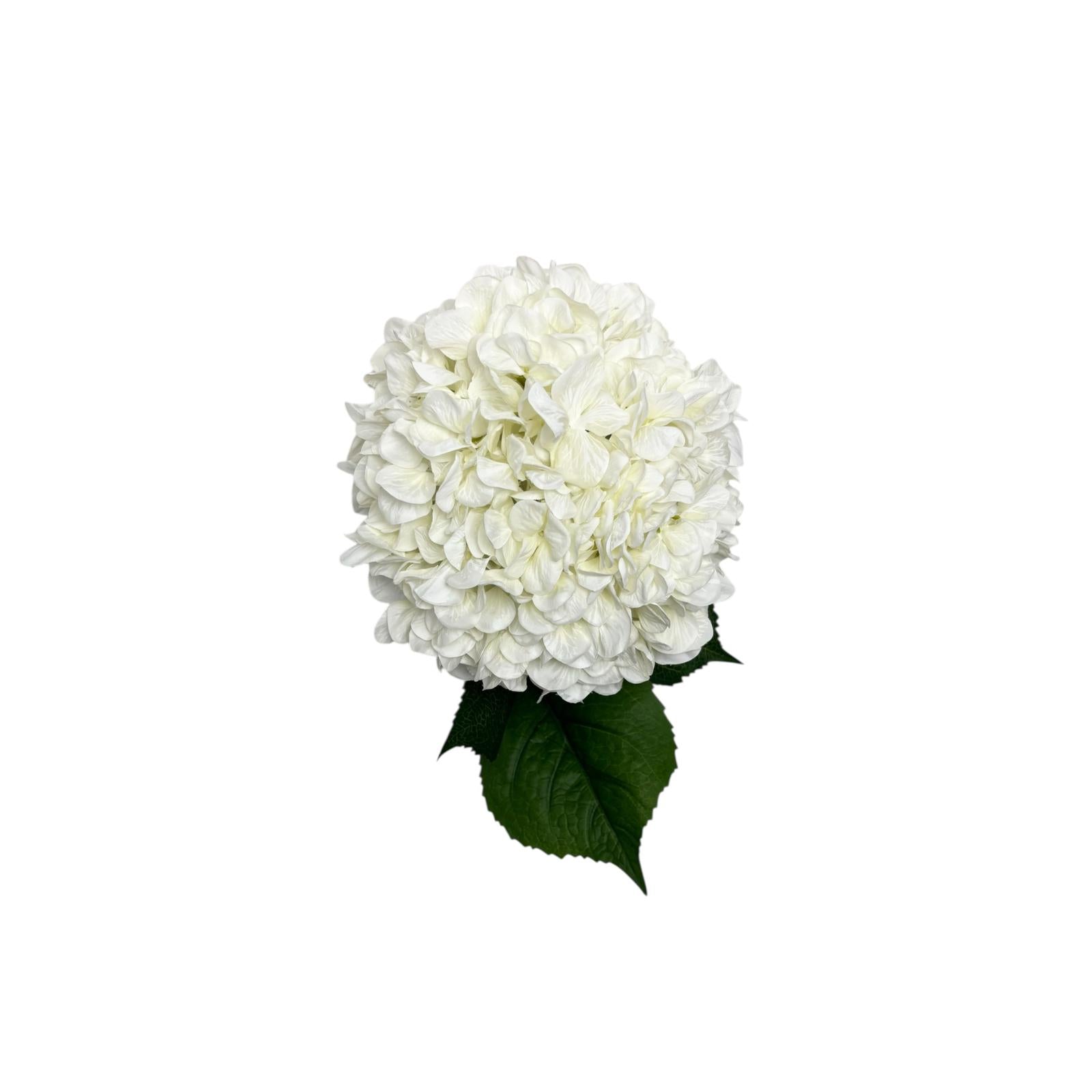 Bouquet di Ortensie Bianche in Tessuto con Gambo Lungo 100 cm – Belda