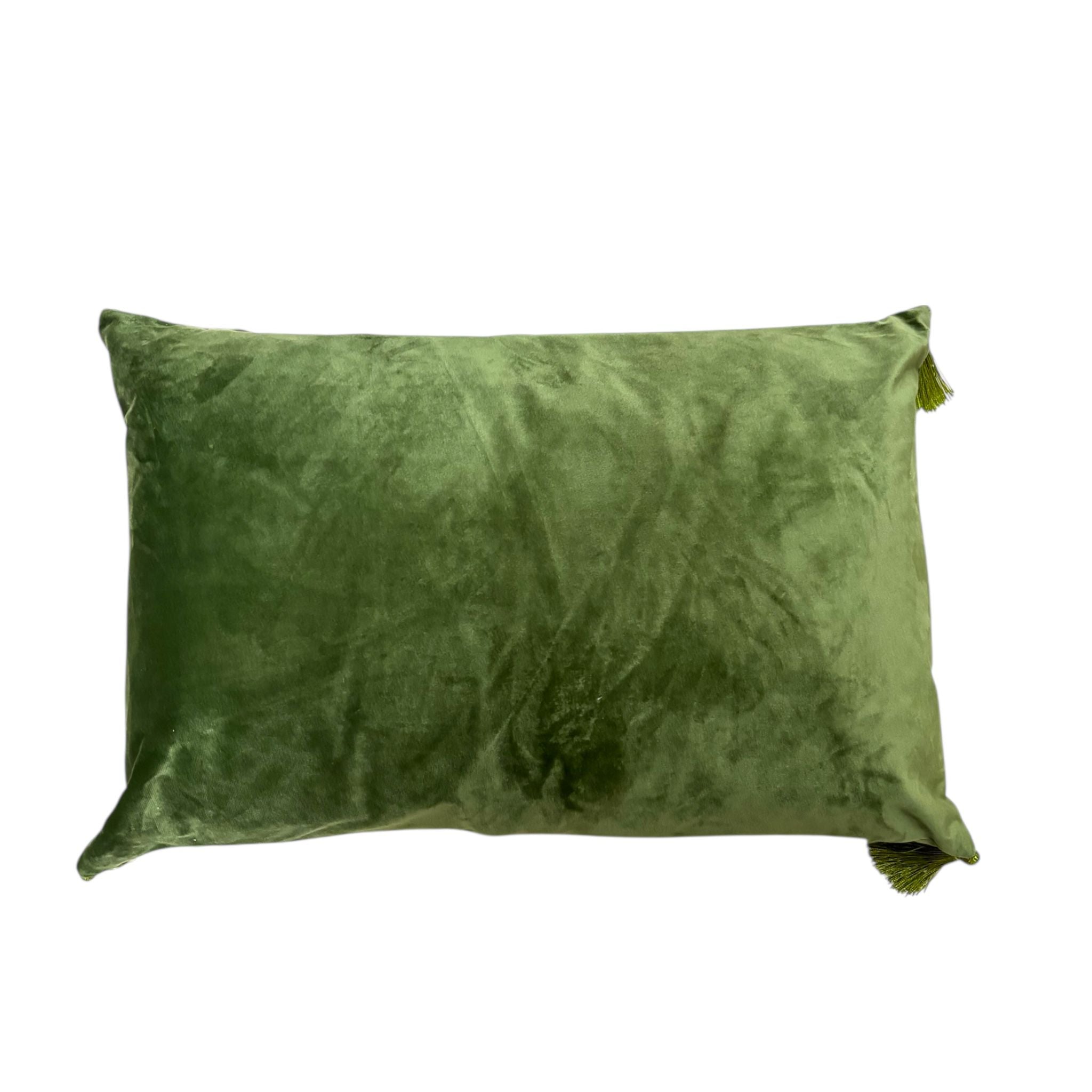 Cuscino Rettangolare in Velluto Verde con Nappe 50x35 cm - Blanc Mariclò