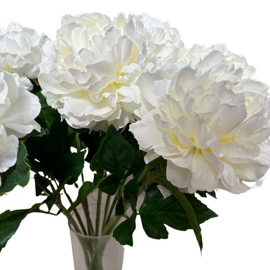 Peonia Bianca Realistica in Lattice e Plastica