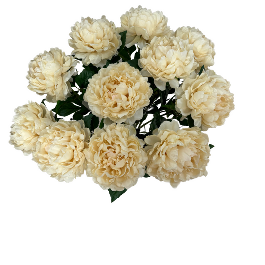 Peonia Panna Realistica in Lattice e Plastica