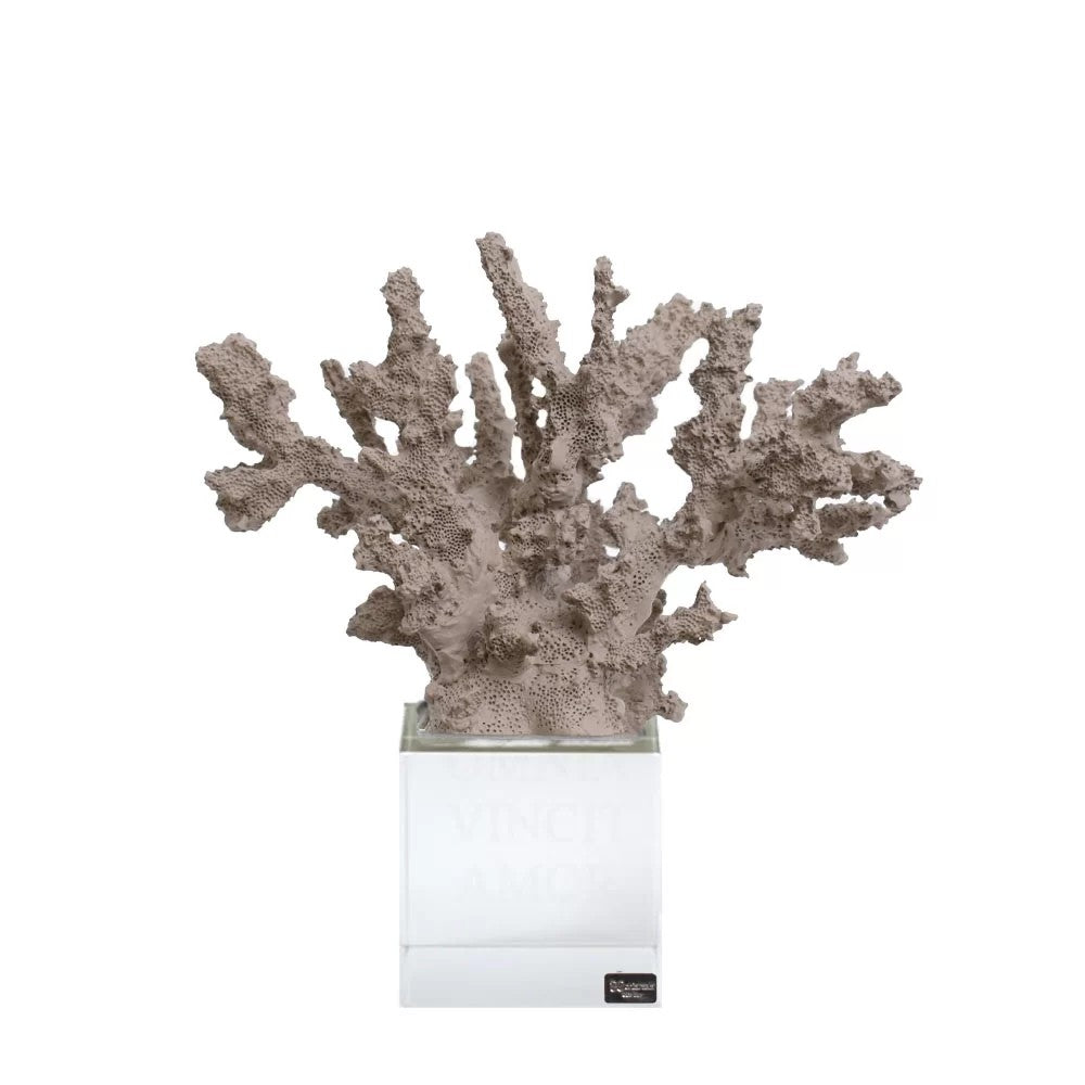 Scultura Corallo in Resina con Base in Vetro 13 h cm - Chiaraela