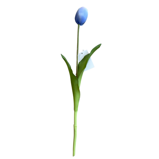 Tulipano Azzurro Realistico in Lattice