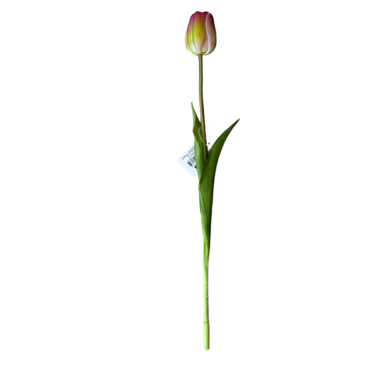 Tulipano Giallo Realistico in Lattice