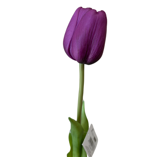 Tulipano Prugna Realistico in Lattice