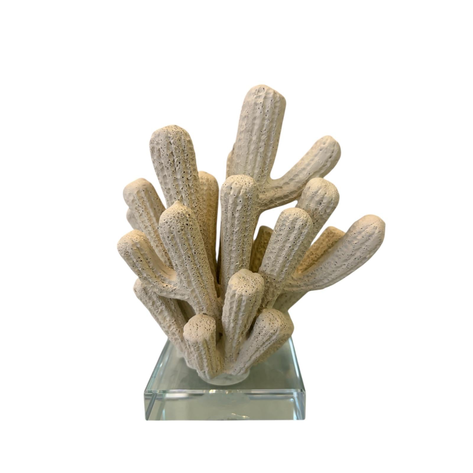 Anemone di Mare Avorio Decorativo in Resina su Base in Vetro 13 h cm - Chiaraela