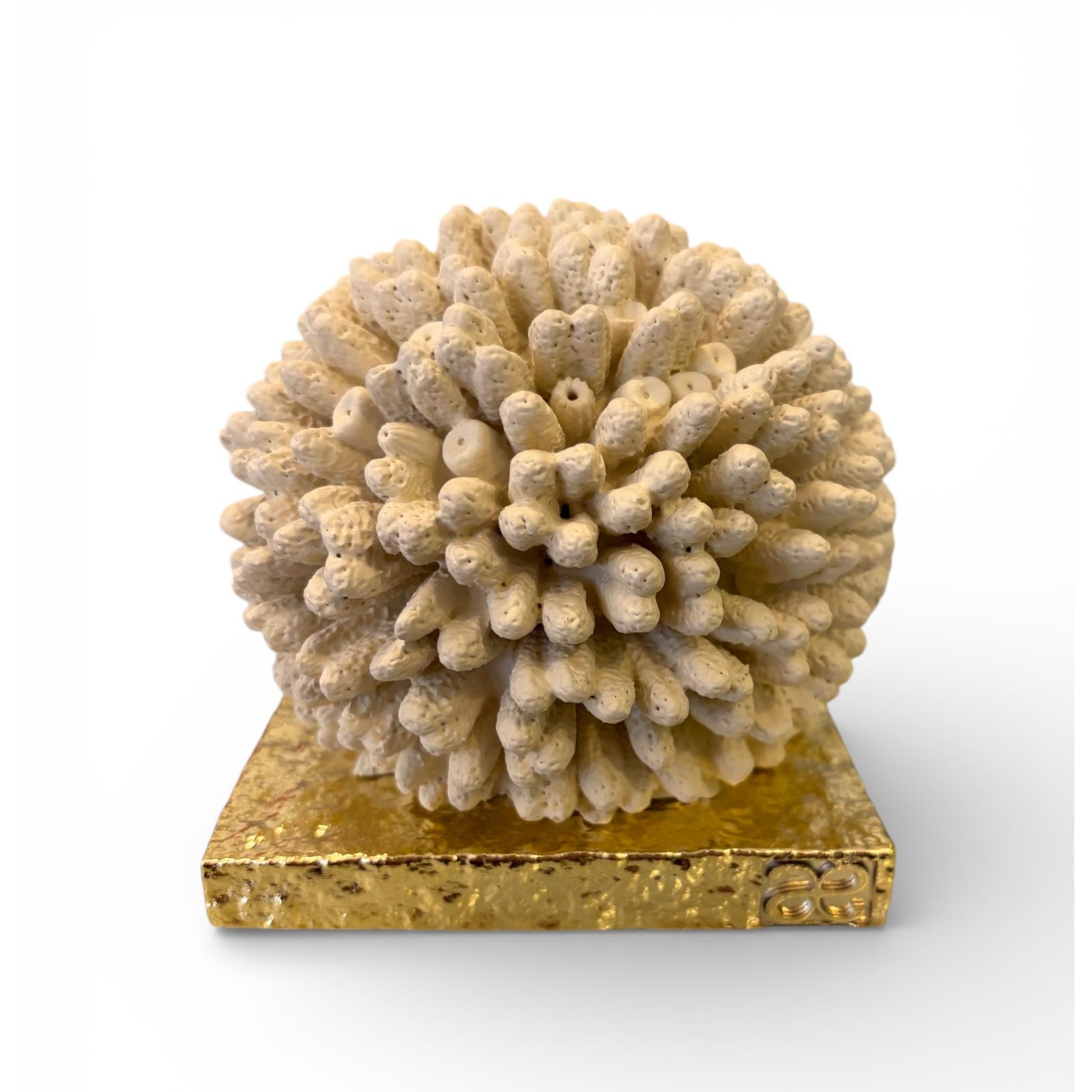 Spugna di Mare Avorio Decorativa in Resina con Base Oro 9x9 cm - Chiaraela
