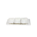 Antipastiera 4 pezzi 30x10 cm - Fade