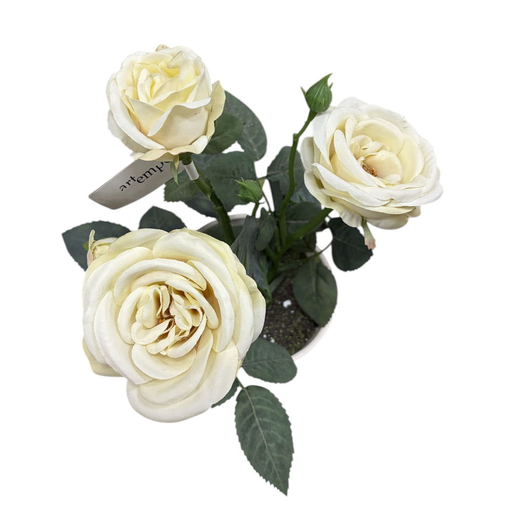 Piantina Realistica con Rose Bianche - In Art