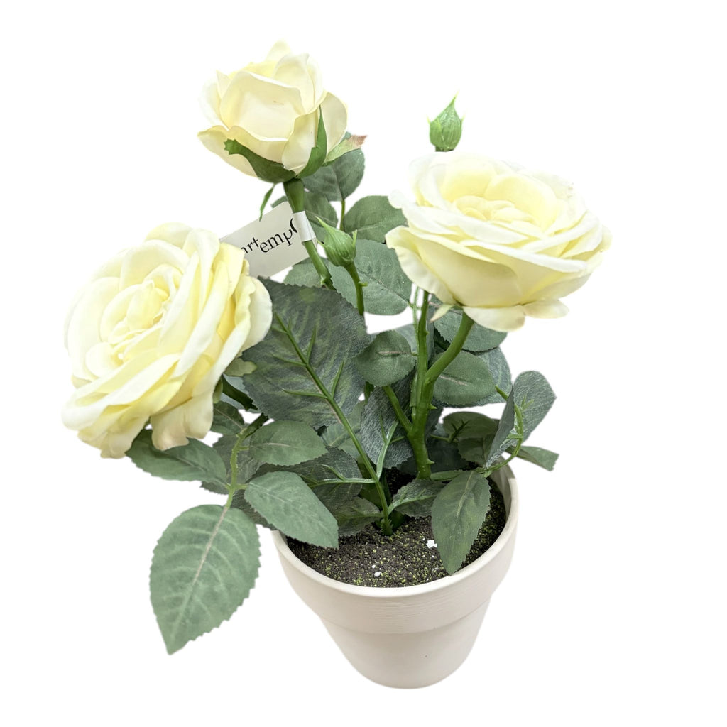 Piantina Realistica con Rose Bianche - In Art