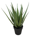 Pianta Decorativa in PE Realistico 40x40 h cm - Belda