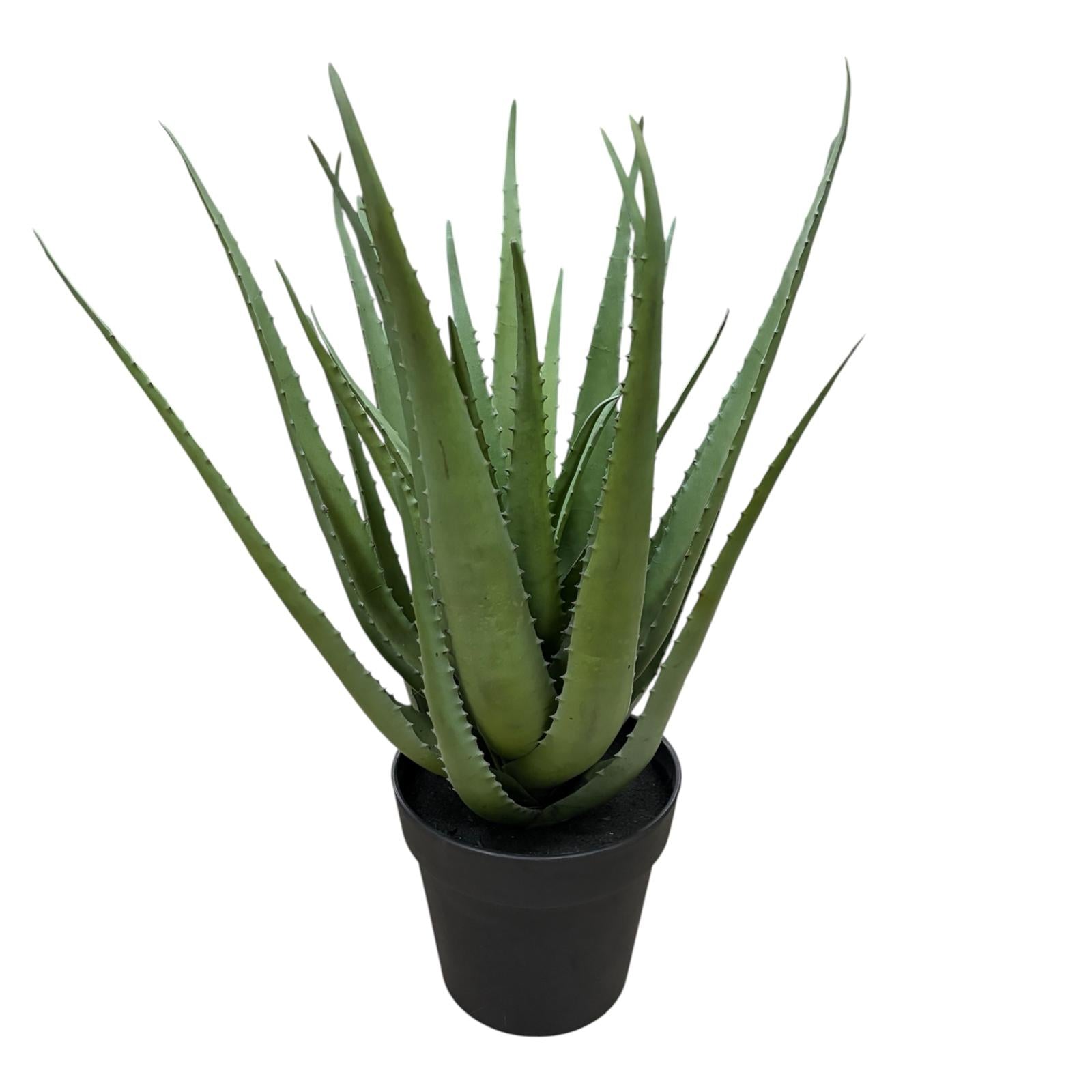 Pianta Decorativa in PE Realistico 40x40 h cm - Belda