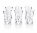 Set di 6 Bicchierini in Vetro Trasparente- Cristalleria Gi&Gi