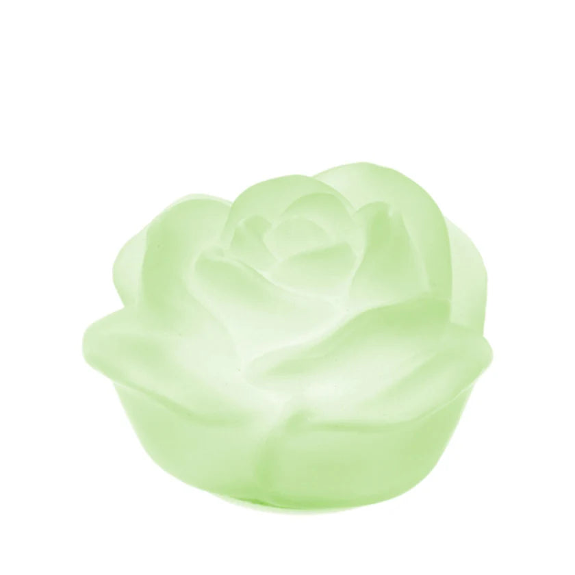 Rosa con Luce LED in Vetro Satinato - Linea Hervit