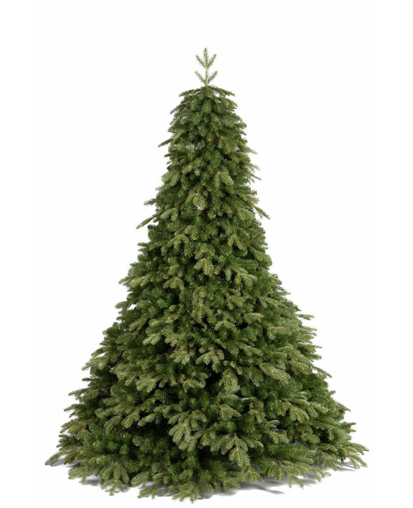 Pandora 210 cm con 3540 Punte - Flora