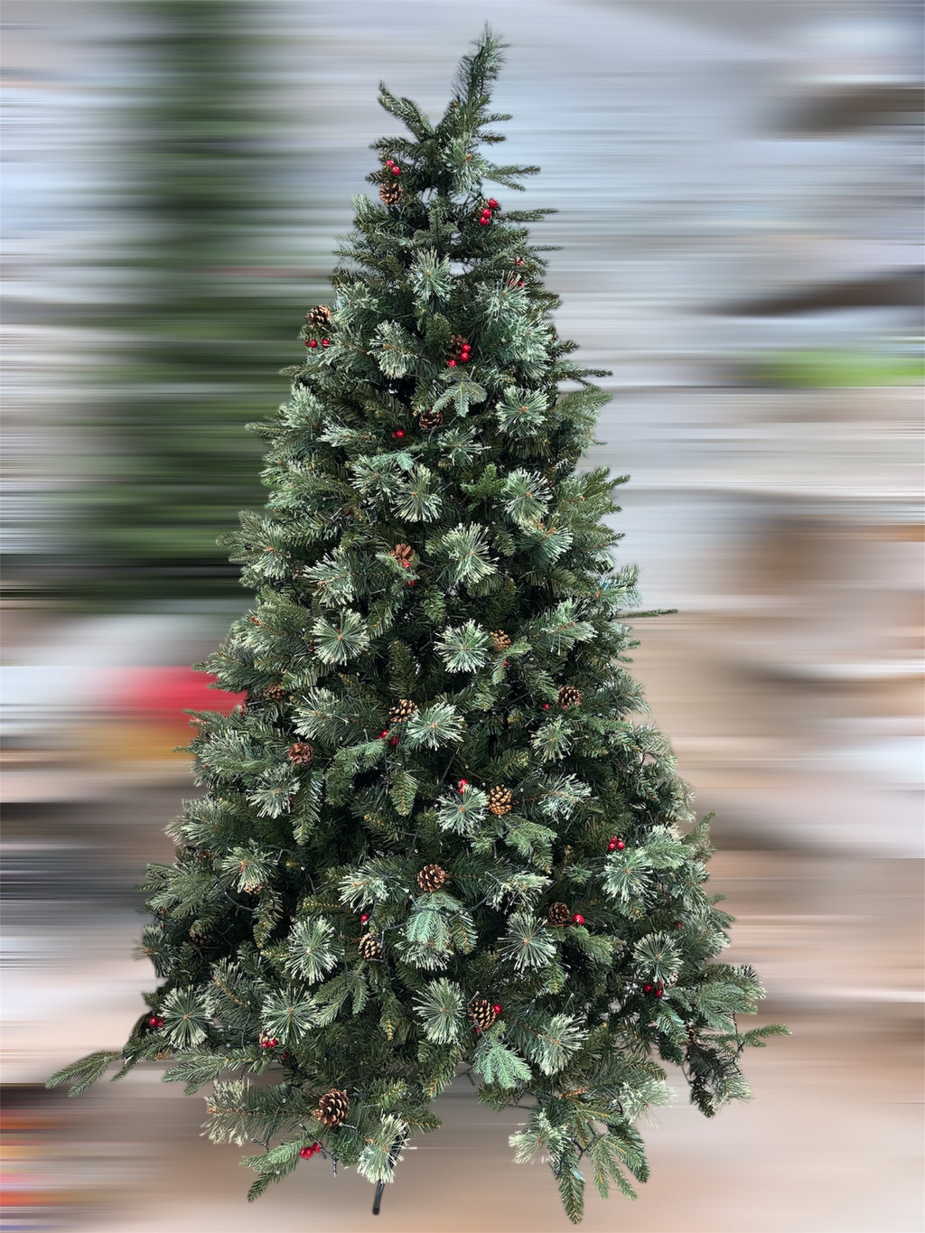 Albero St.Moritz 2.70 mt.