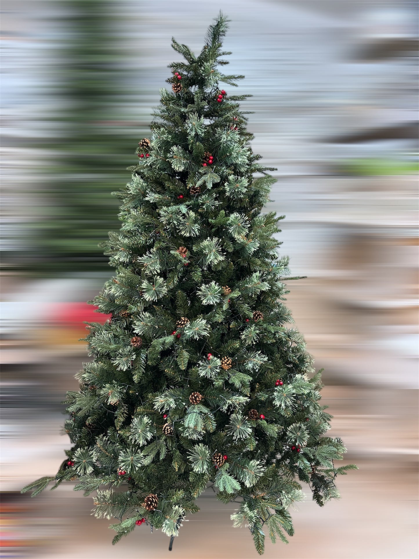 Albero St.Moritz 2.70 mt.
