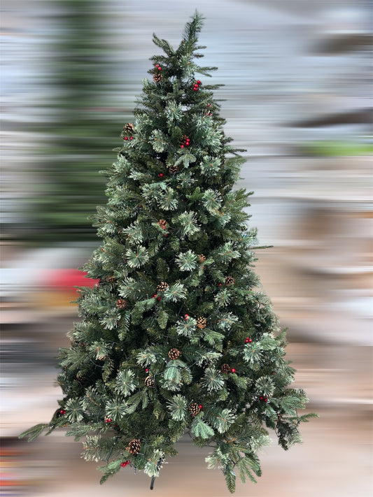 Albero St.Moritz 2.70 mt.