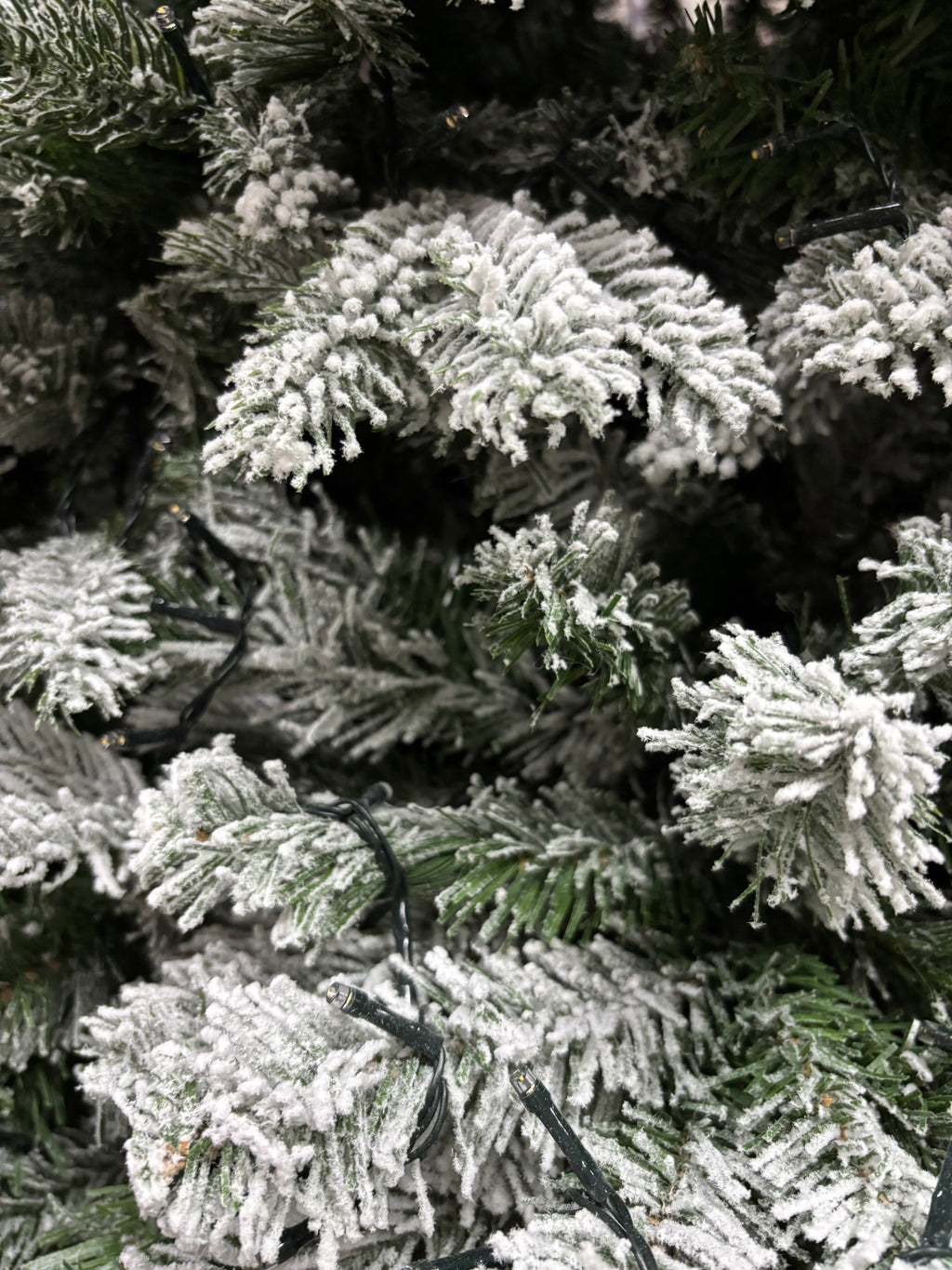 Pandora Floccato 210 cm con 3540 Punte - Flora