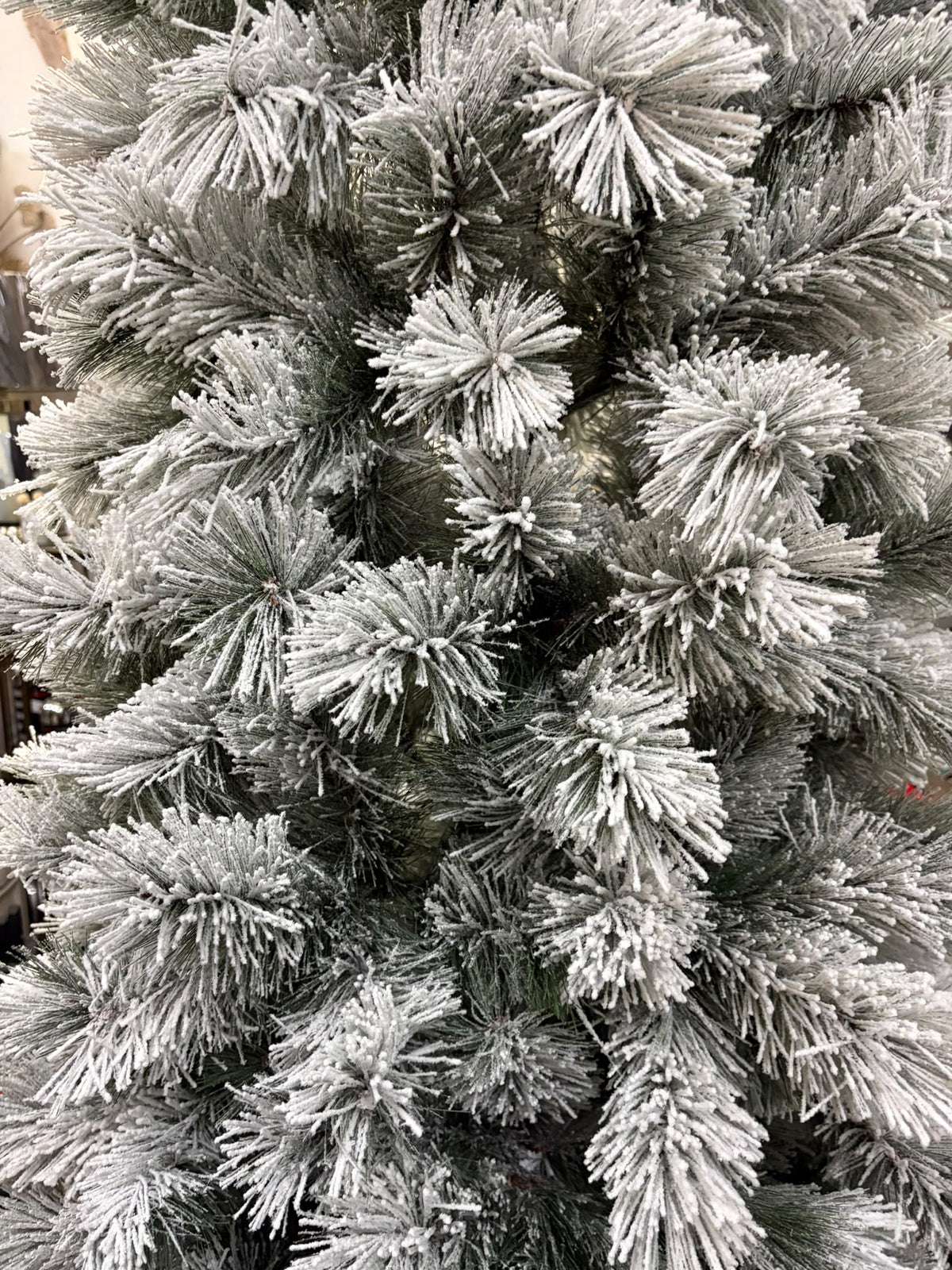 Lapponia Slim Floccato 240 cm - Flora