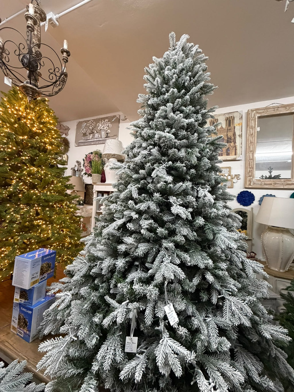 Pandora Floccato 270 cm con 6090 Punte - Flora