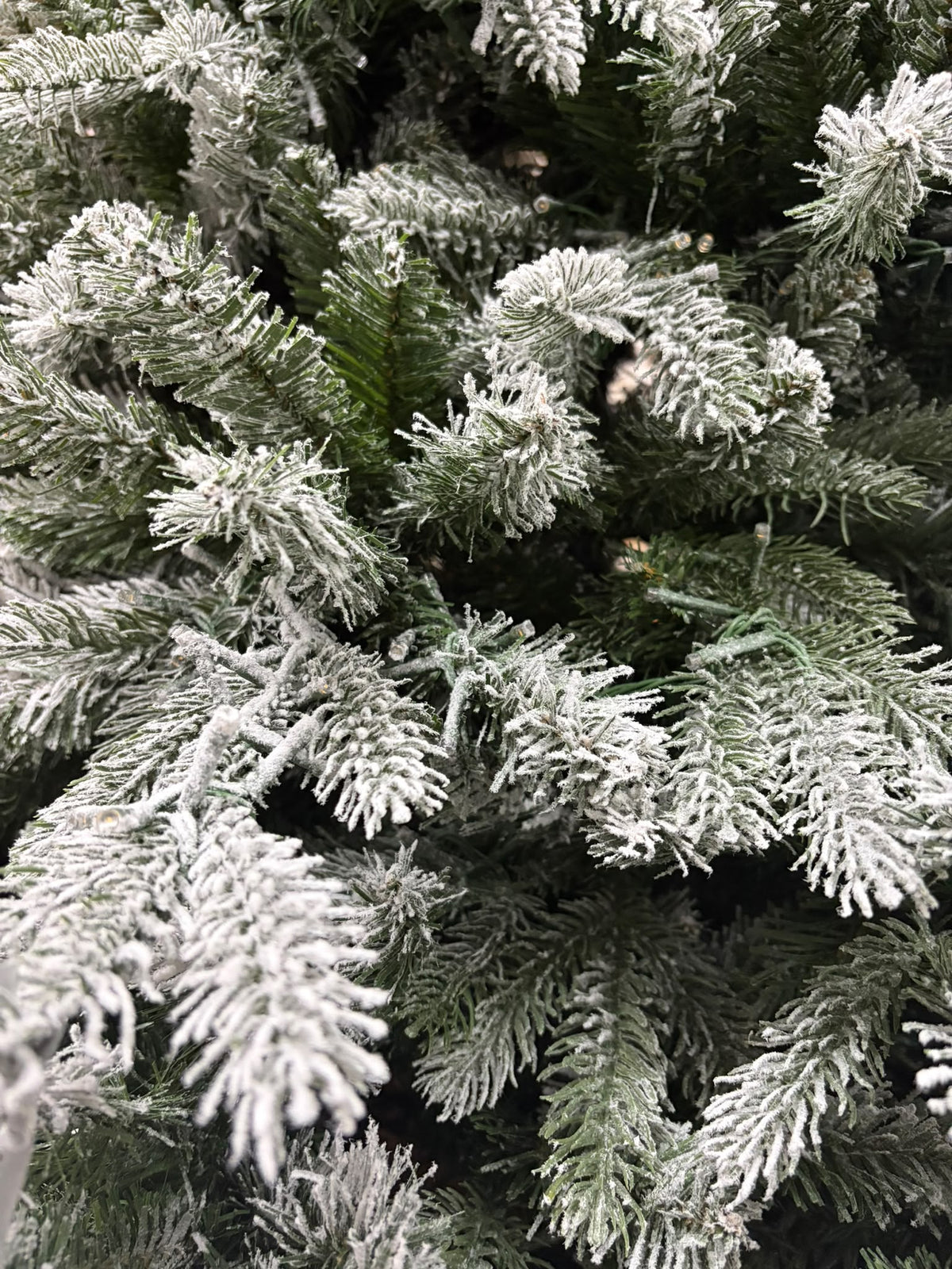 Pandora Floccato 210 cm con 3540 Punte - Flora