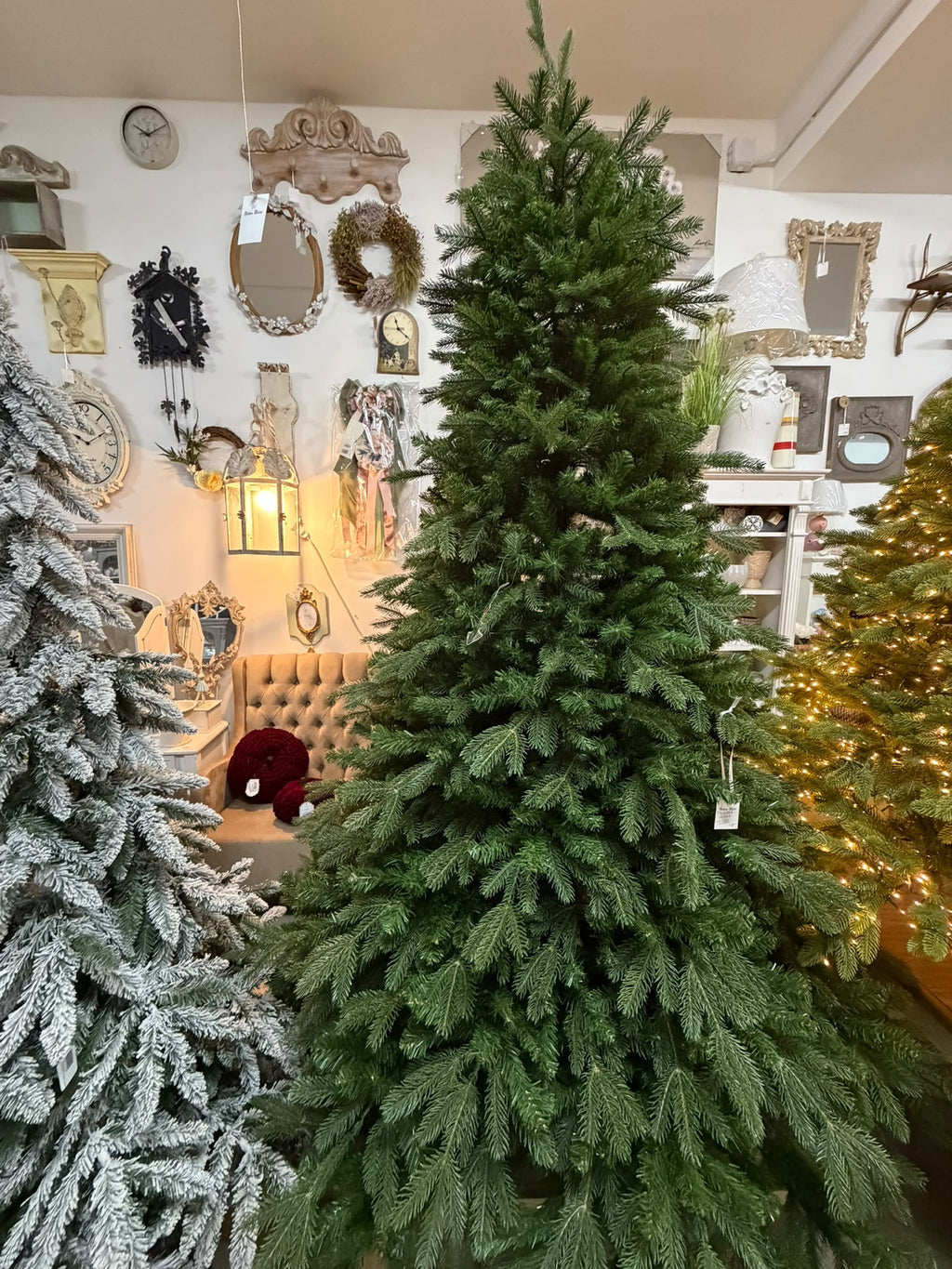 Pandora 240 cm con 4470 Punte - Flora