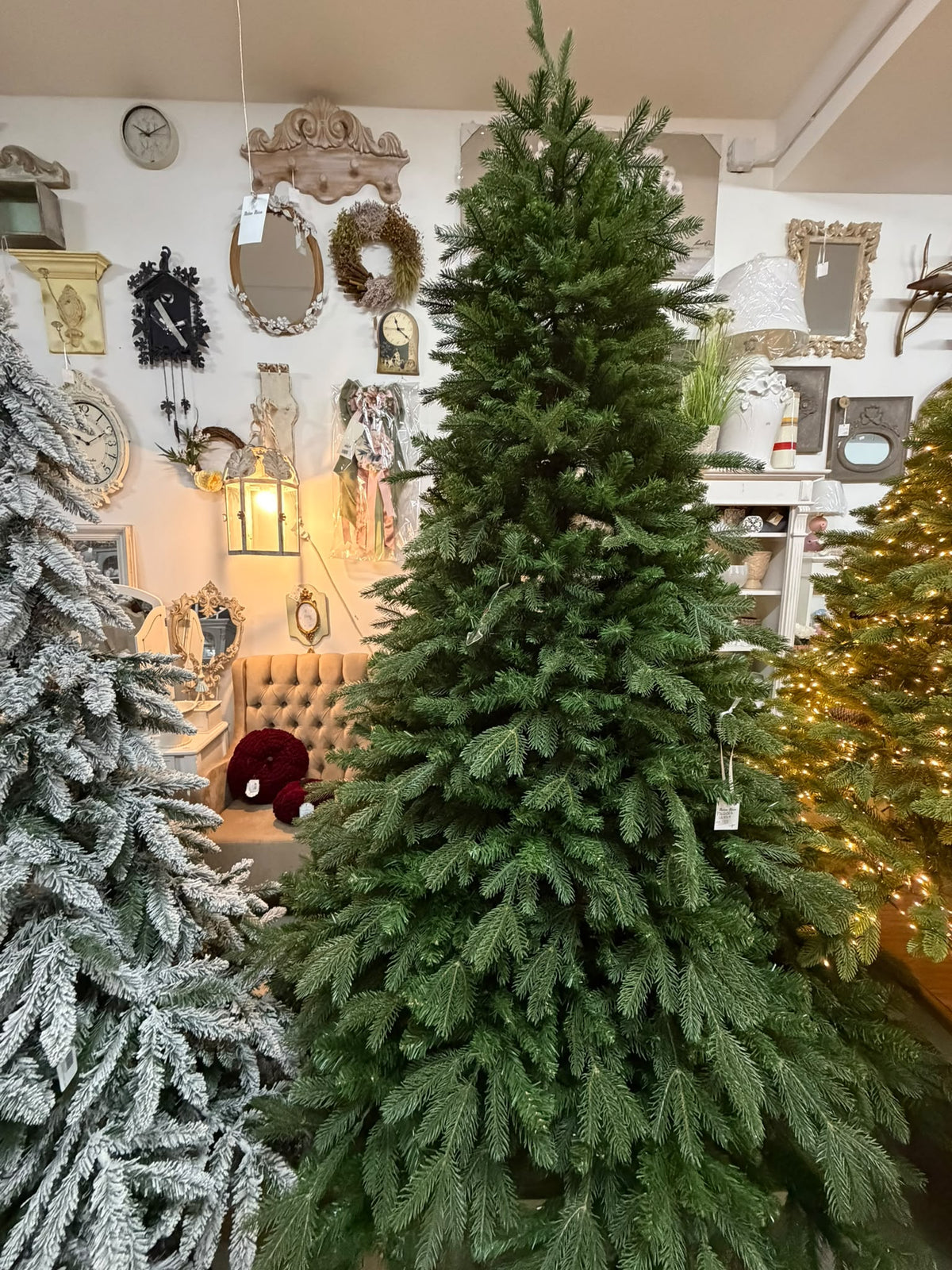 Pandora 240 cm con 4470 Punte - Flora