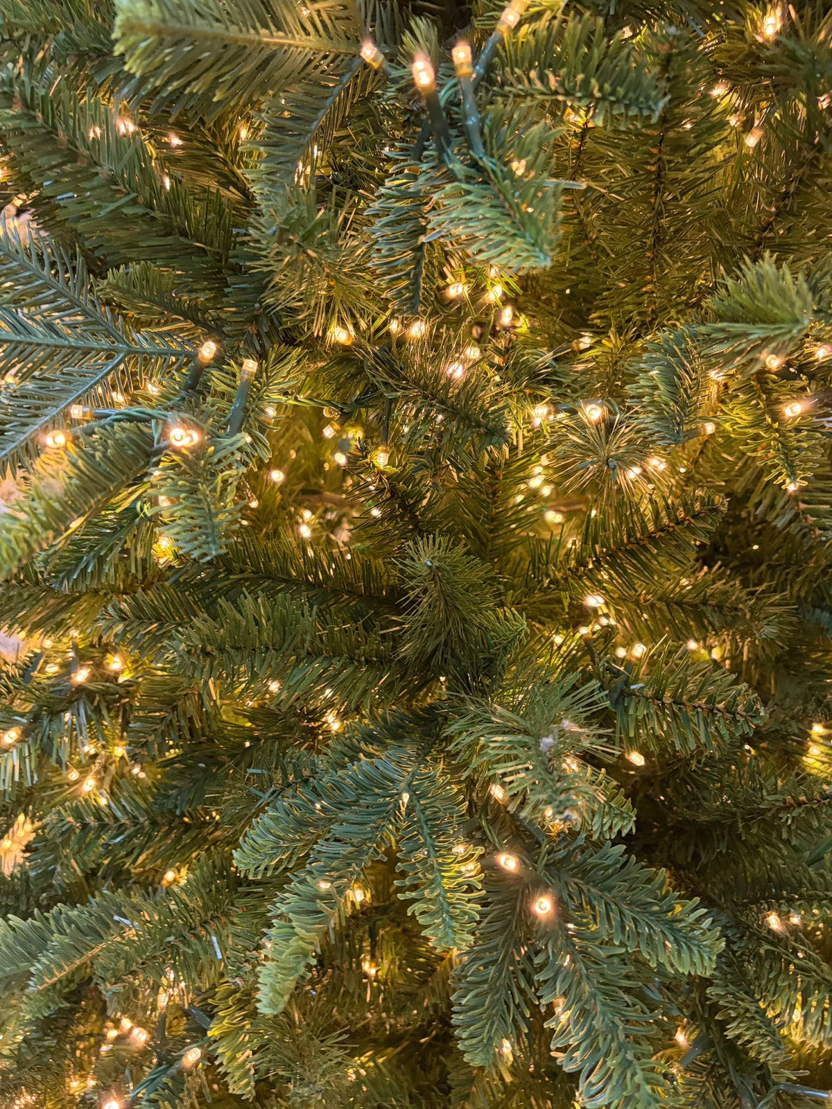 Albero Parco 240 cm con 4700 led - Flora